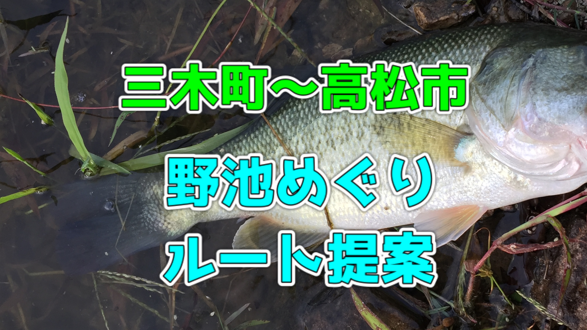 香川県】三木町〜高松市の野池バス釣り巡りルートを紹介！ - 釣りメモ
